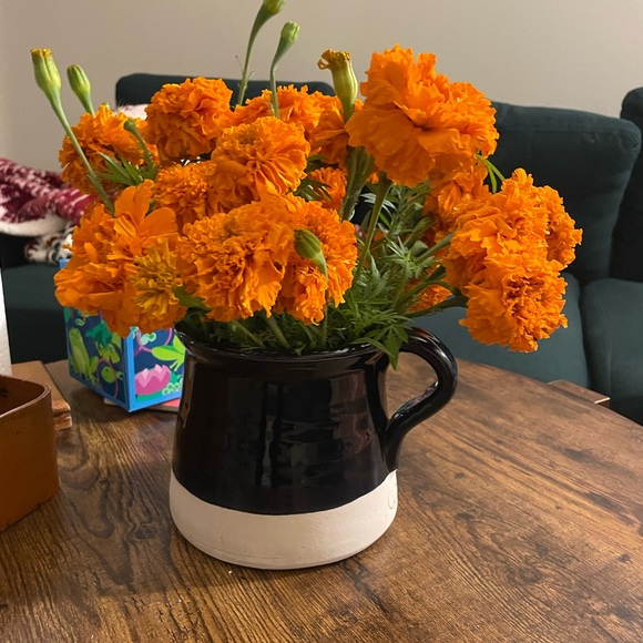 Meet your Posher, Mo - Picture 1 of 1